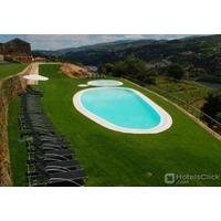 DOURO PALACE HOTEL RESORT AND SPA