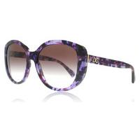 Dolce and Gabbana 4248 Sunglasses Violet Marble 29128H 55mm