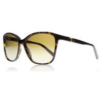 Dolce and Gabbana 4170P Sunglasses Tortoise 502T5 Polariserade