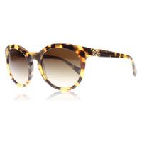 Dolce and Gabbana 4279 Sunglasses Havana 512/13