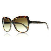 Dolce and Gabbana 4244 Sunglasses Tortoise 502/13