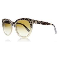 Dolce and Gabbana 4259 Sunglasses Top Mud on Animalier 2967T5 Polariserade