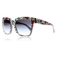 Dolce and Gabbana 4234 Sunglasses Carnation White Havana 29778G
