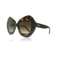 Dolce and Gabbana 4290 Sunglasses Havana 502/13 51mm