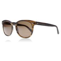Dolce and Gabbana 4254 Sunglasses Striped Matte Tabacco 296473