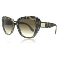 Dolce and Gabbana 4296 Sunglasses Leoprint 199513 53mm