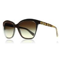 Dolce and Gabbana 4251 Sunglasses Brown and Gold 291813