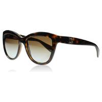 Dolce and Gabbana 6087 Sunglasses Tortoise 502/T5 Polariserade