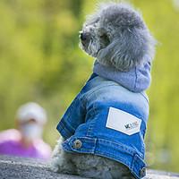 dog hoodie denim jacketjeans jacket dog clothes cowboy fashion jeans b ...