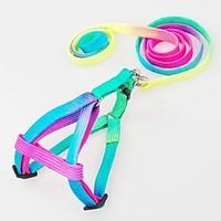 Dog Harness / Leash / Slip Lead Adjustable/Retractable Rainbow Nylon