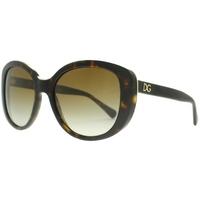 Dolce & Gabbana DG4248 502/T5 Havana