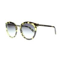 dolce gabbana dg4268 29708g havana green