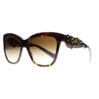 Dolce & Gabbana DG4264 502/13 Havana