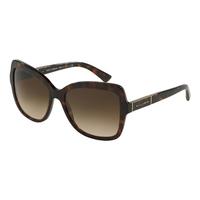 dolce gabbana dg4244 50213 havana