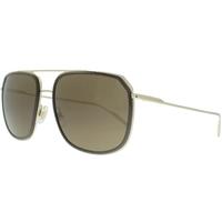 Dolce & Gabbana DG2165 488/73 Brown Pale Gold