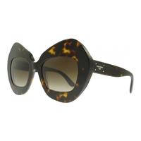 Dolce & Gabbana DG4290 502/13 Havana