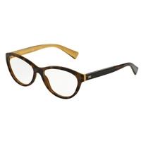 Dolce & Gabbana DG3232 2956 Havana/Gold