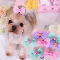 Dog Hair Accessories Dog Clothes Cute Casual/Daily Bowknot Purple Blue Blushing Pink