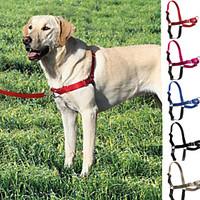 dog harness leash slip lead adjustableretractable red black blue gray  ...