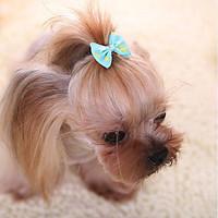 Dog Hair Accessories Dog Clothes Cute Fashion Casual/Daily Bowknot Blushing Pink Blue Red Fuchsia Yellow