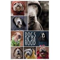 dogs in da hood poster