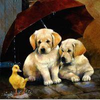 Dogs and duckling in the rain blank card