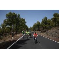 Downhill Bike Tours, Tenerife