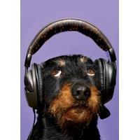 Dog with headphones | Animal Card