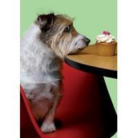 Dog with cupcake | Animal Card| CM1003