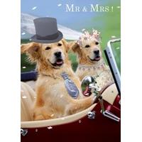 dog couple wedding card