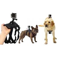 Dog Action Camera Mount Harness