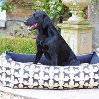 DOG BED in Labrador Print - Small