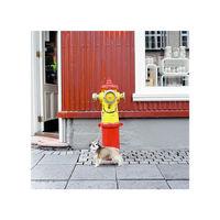 Dog next to Hydrant - Iceland By David Pexton