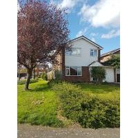 Double and Single Room (s) in Four Bed Detached House