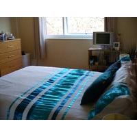 Double Room Available in a Cosey all Female house share