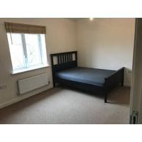 Double bedroom available in Peterborough