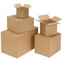 Double Wall Strong Flat-Packed Packing Carton Pack of 15 59183
