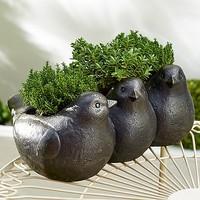 Dove Planter