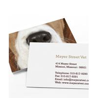 Dog Breeders Business Cards, 50 qty