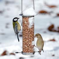 domed stainless steel nut suet pellet feeder small