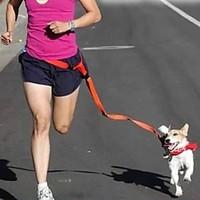 Dog Hands Free Leash Adjustable/Retractable / Running / Hands free Solid Red / White / Green / Pink / Purple Nylon