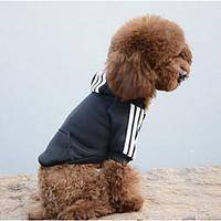 Dog Hoodie Sweatshirt Dog Clothes Winter Spring/Fall Solid Casual/Daily Sports Black Yellow Red Blue Blushing Pink