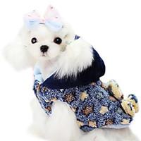 dog coat yellow blue dog clothes winter stars fashion