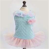 Dog Dress Dog Clothes Spring/Fall Solid Cute