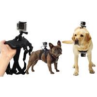 dog action camera mount harness