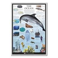 dorling kindersley the ocean poster silver framed 965 x 66 cms approx  ...