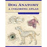 dog anatomy a coloring atlas