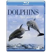 Dolphins Spy in the Pod [Blu-ray]
