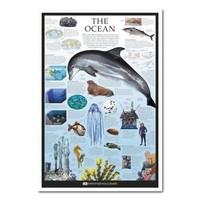 Dorling Kindersley The Ocean Poster White Framed - 96.5 x 66 cms (Approx 38 x 26 inches)