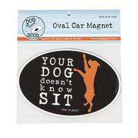 dog is good your dog doesnt know sit car magnet